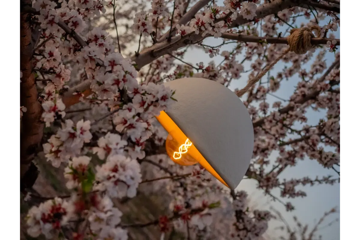 Luna 40 - Luminaires