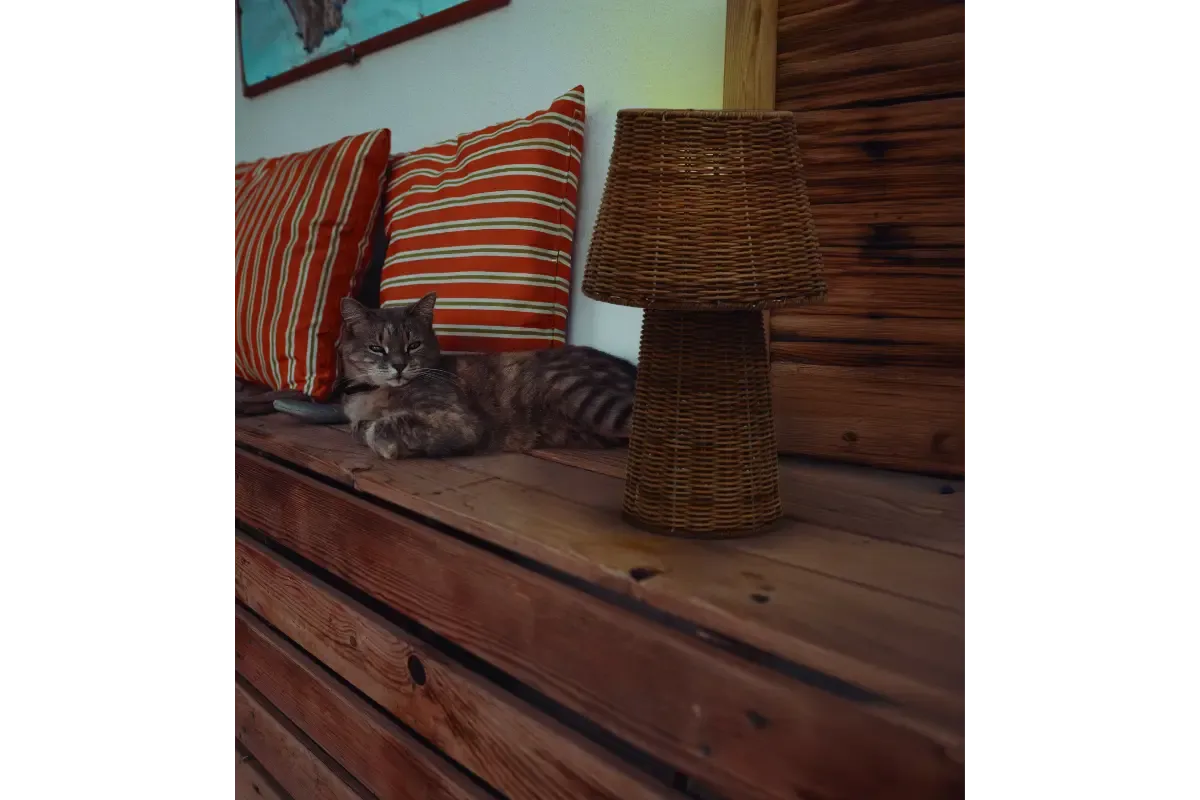 Lola 40 Nature - Luminaires